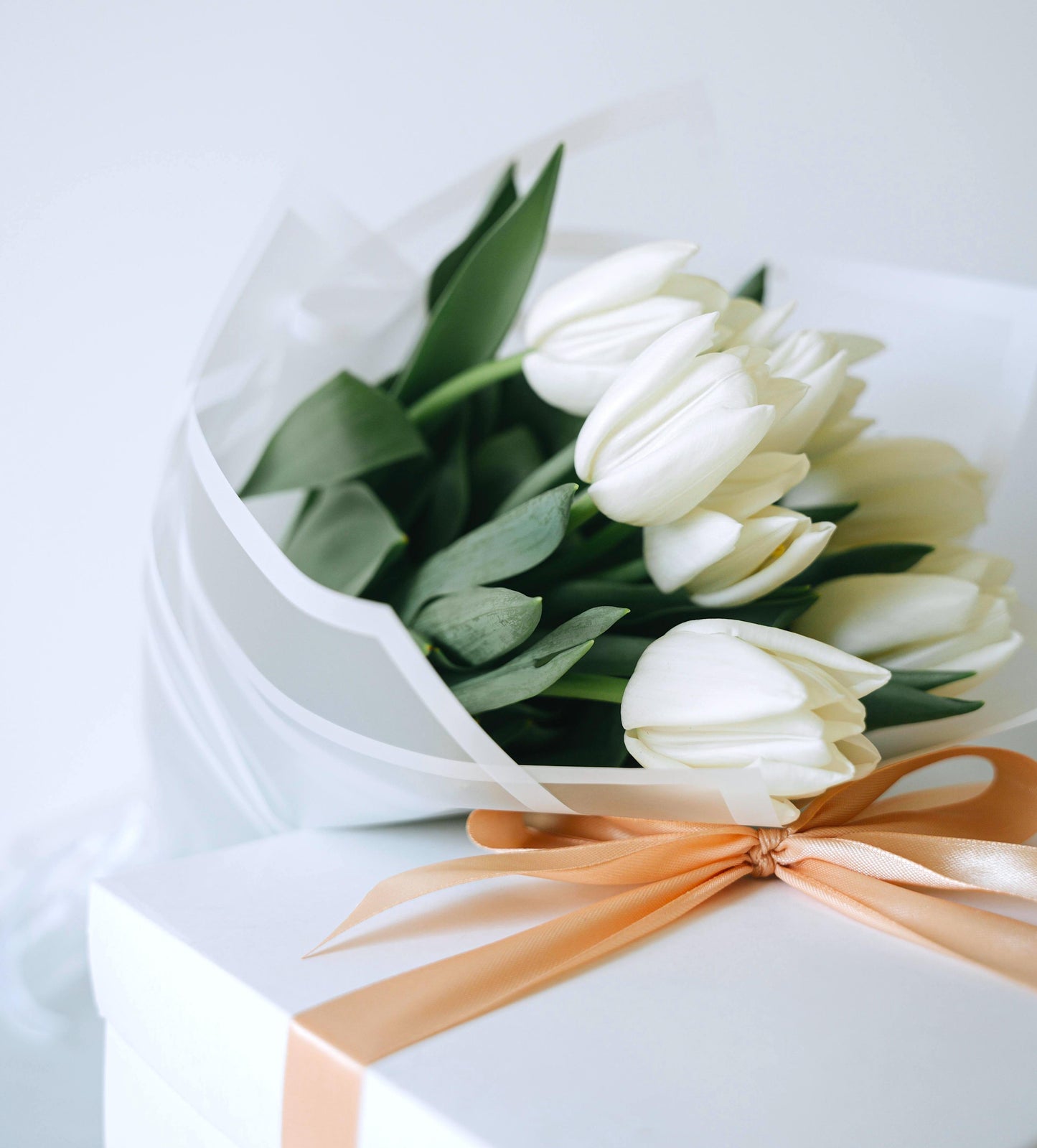 ❀ Serenity is a Gift ❀