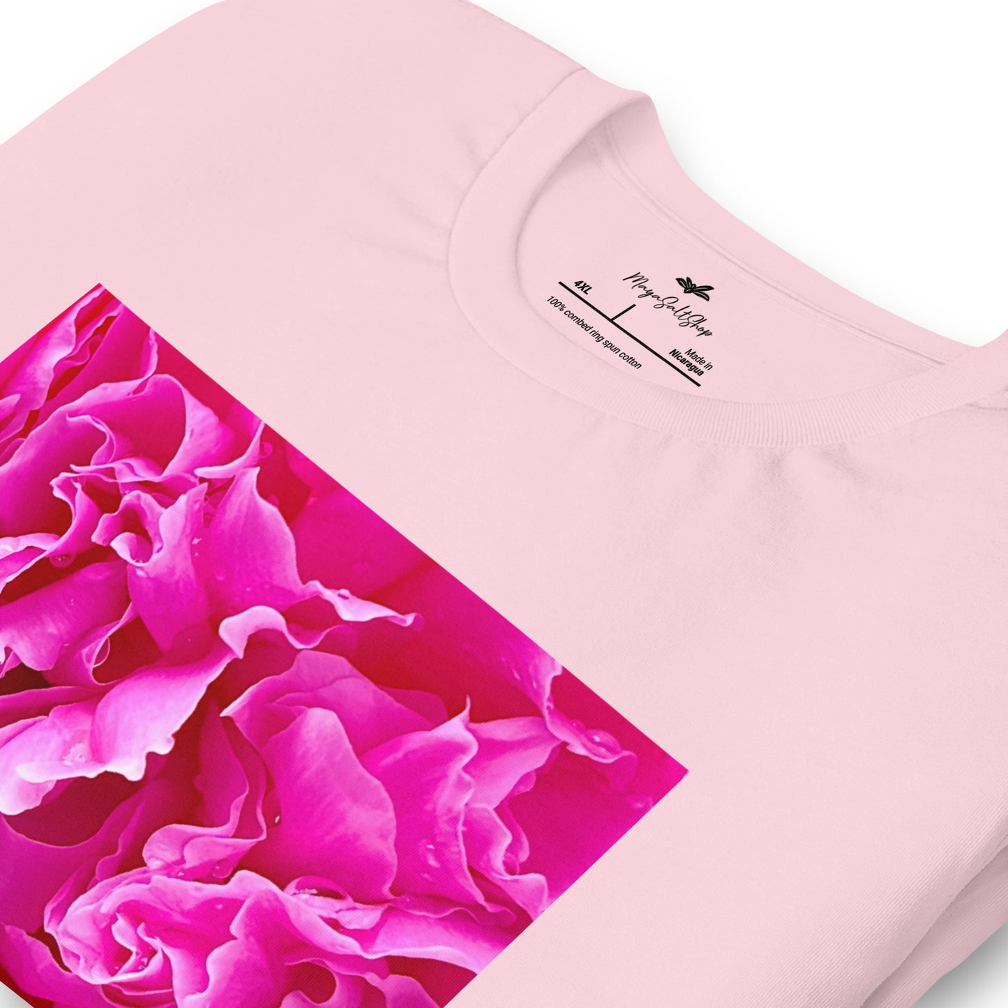 Fuchsia Evolution
