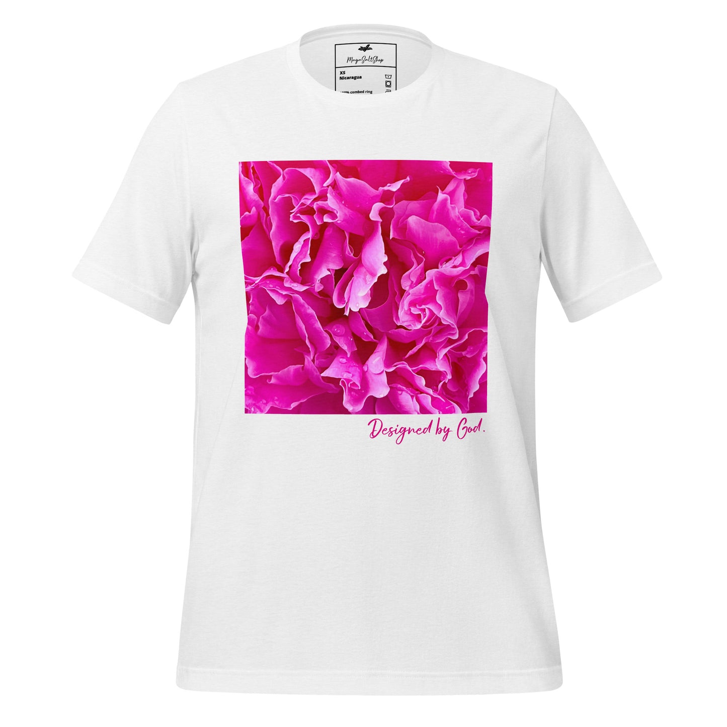 Fuchsia Evolution