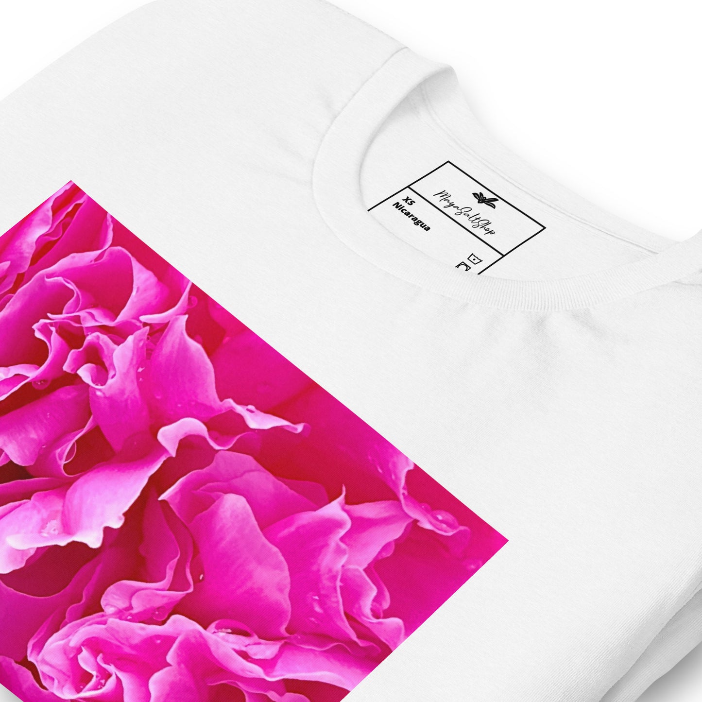 Fuchsia Evolution